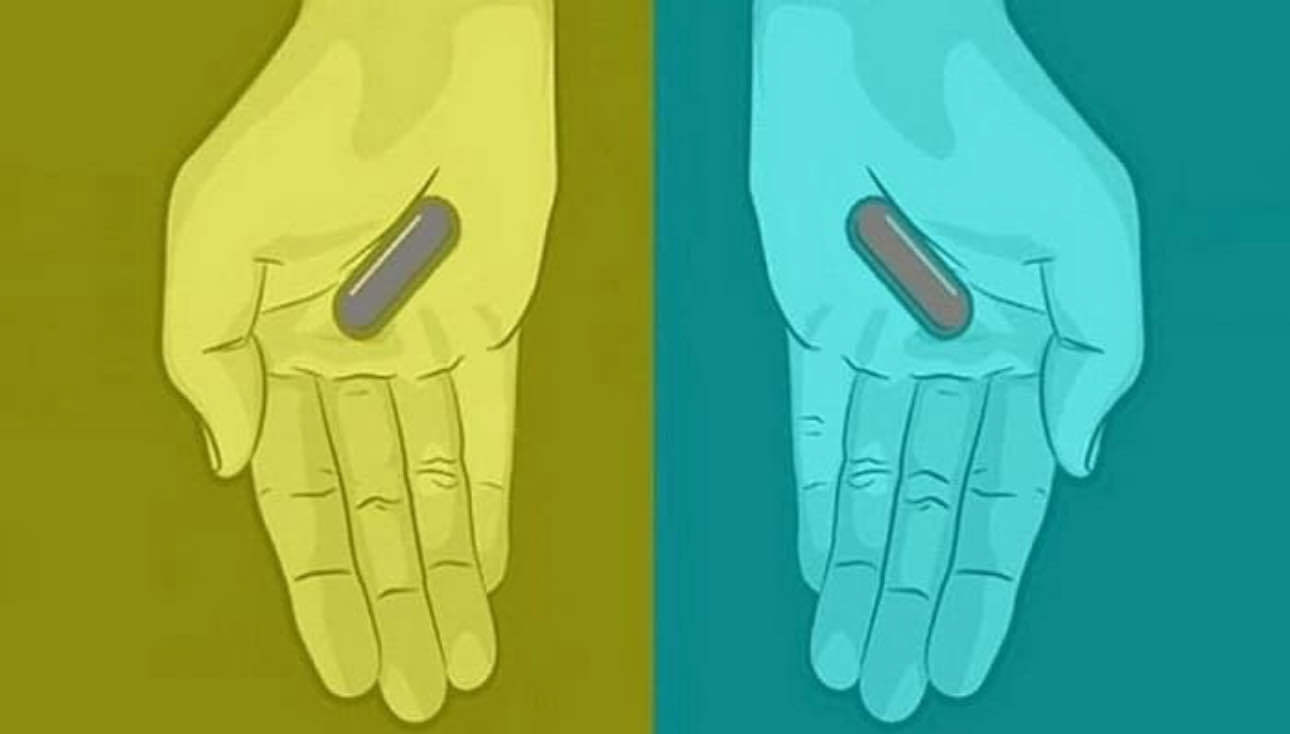 스트레스 수치에 따라 다르게 보인다는 사진.jpg | 인스티즈