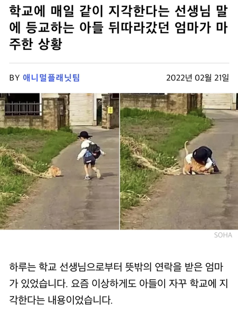 학교에 매일 같이 지각한다는 선생님 말에 등교하는 아들 뒤따라갔던 엄마가 마주한 상황 | 인스티즈