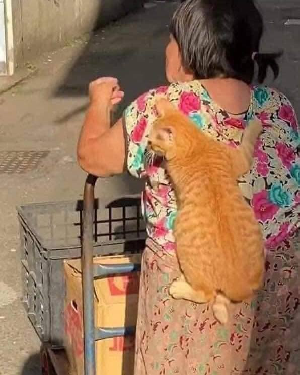 껌딱지네 이미지