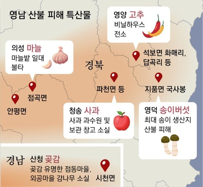 이제 당분간 국내산 먹는걸 포기해야 되는 식재료 | 인스티즈
