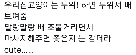 고양이는 사람 말을 알아듣는 거 같아 | 인스티즈