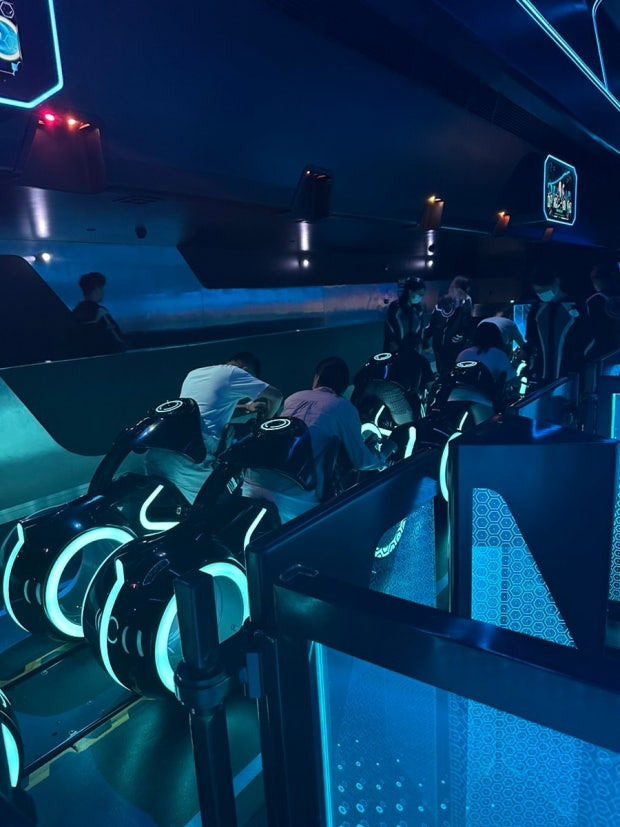 디즈니의 진정한 애착 인형.jpg | 인스티즈