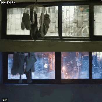 기생충 진짜 수작이라고 생각하는 사람들의 달글 | 인스티즈