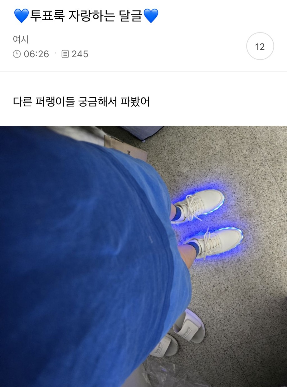 💙투표룩 자랑하는 달글💙 | 인스티즈