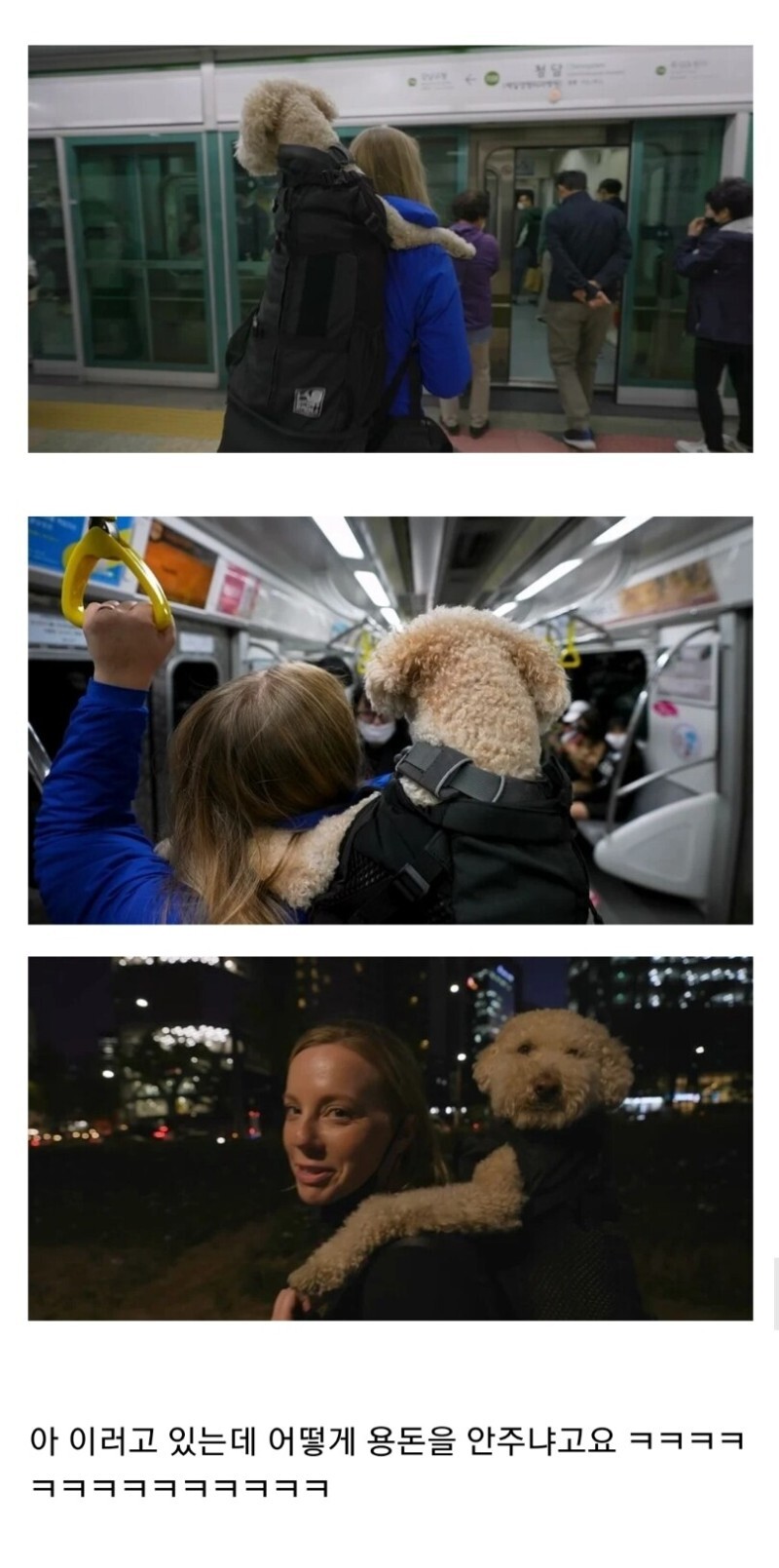 한국 관광중 노부부가 돈을줘서 불편했던 외국인 | 인스티즈