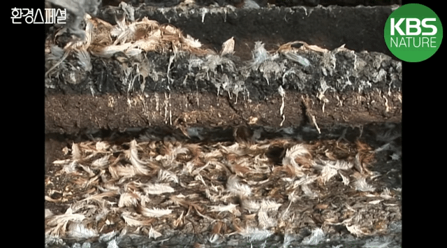 7df85c1b4450fc8a1cb33f9f35763c54c1b30e59