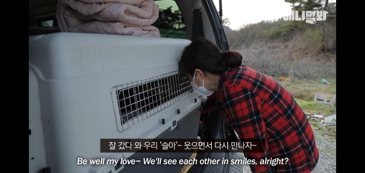 죽을것같은 우울증에 걸린 강아지 | 인스티즈