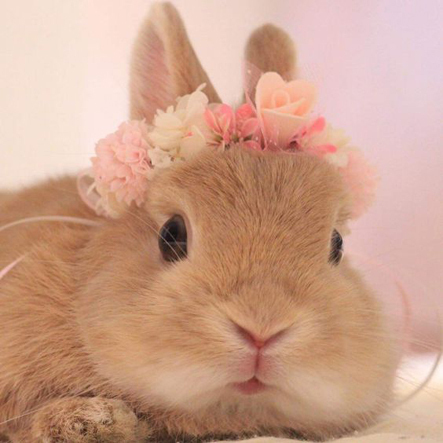 보송보송 이미지