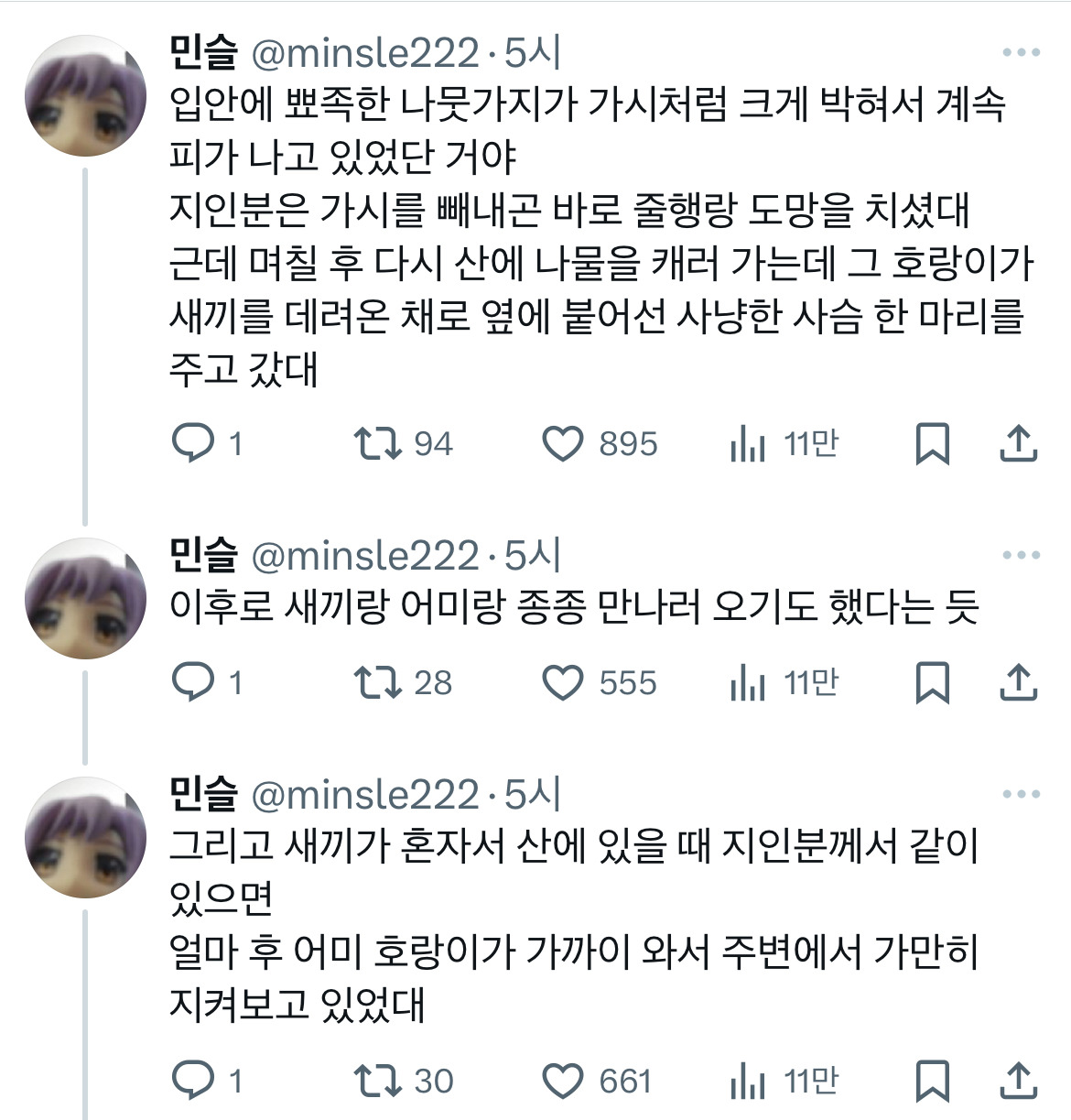 전래동화 같은 호랑이 이야기 트위터 모음.twt | 인스티즈