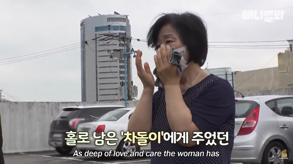 1년만에 자신을 두고 간 주인을 만난 강아지 반응 | 인스티즈