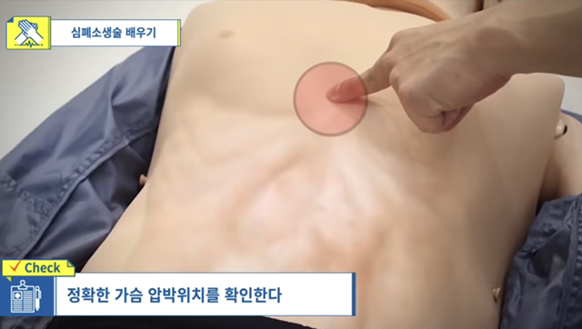 사람이 쓰러졌어요! 의식이 없어요! 우리 강아지가 쓰러져서 일어나지 않아요! 살려주세요!! | 인스티즈
