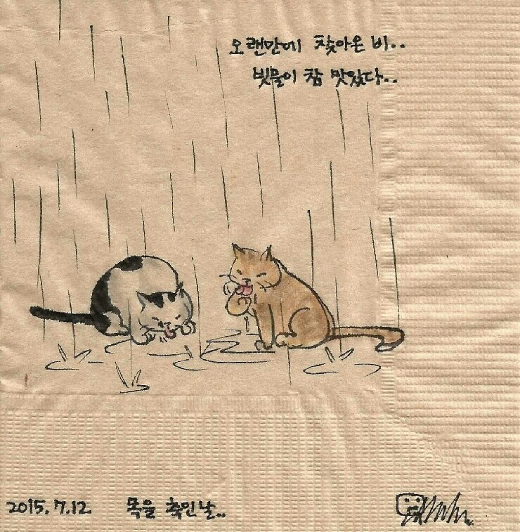길고양이의 일기.jpg | 인스티즈