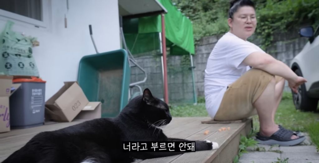 신발 물어 뜯은 고양이 찾아간 이영자 | 인스티즈