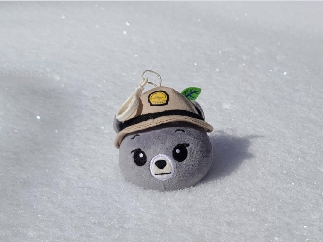 요즘 등산러들 사이 인기템이라는 인형키링.jpg | 인스티즈