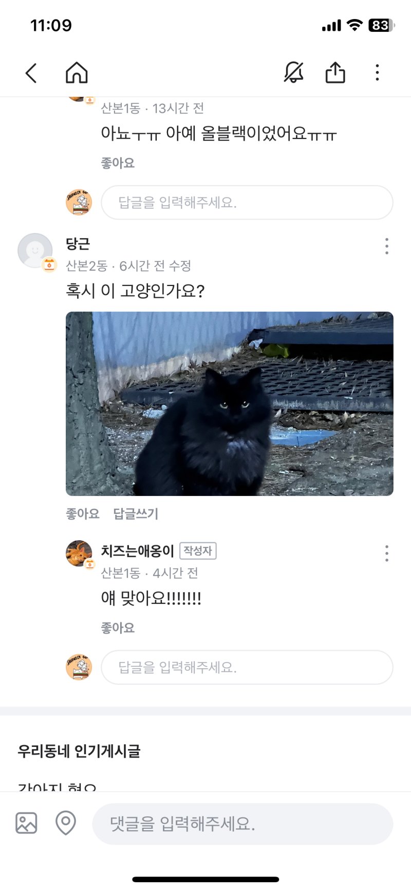 후리스같은옷이 떨어져있네하고 옆을 지나가는데 고양이였어요 | 인스티즈