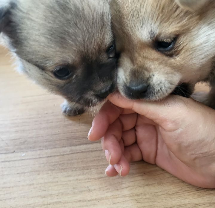 (공지라니... ++추가)새로생긴 회사 복지.. 미쳐서 도저히 일을 못하겠네.. (추가....)++추가 | 인스티즈