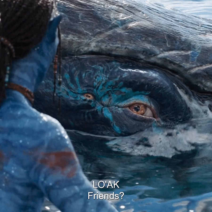 [아바타:물의길] 로아크-파야칸 서사가 미치는 이유 (스포있음) | 인스티즈