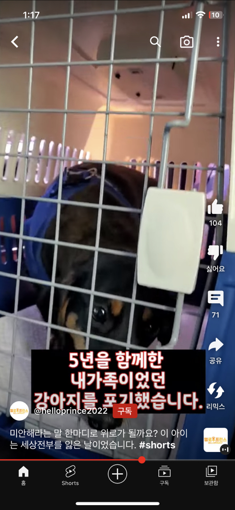 아이가 태어나서 파양되는 강아지 모습 | 인스티즈