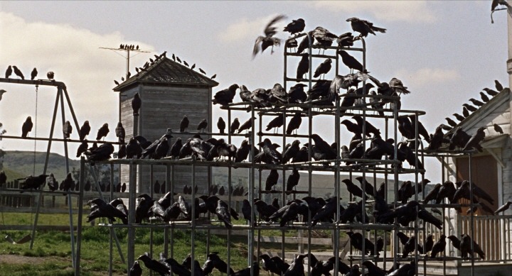 완전 흥미돋인 영화 스토리보드 | 인스티즈