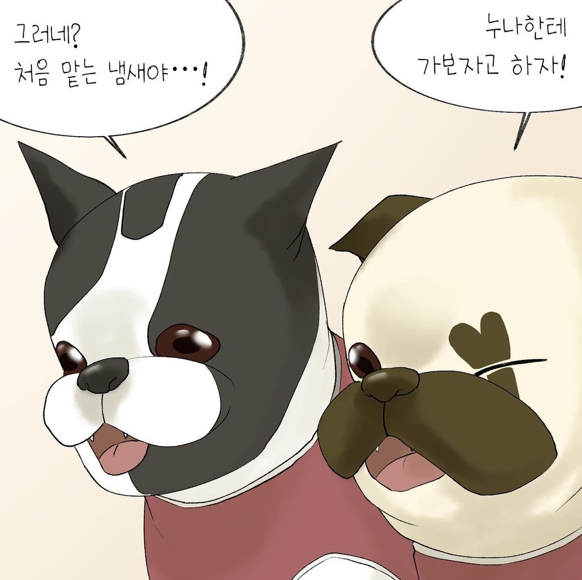 어느 팬(fan)의 선물로 시작된 테디의 안타까운 이야기 | 인스티즈