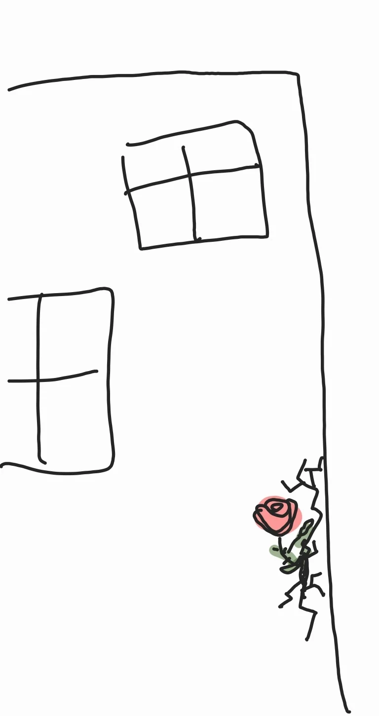 건물 사이에 피어난 장미 이중에 뭐라고 생각함? | 인스티즈