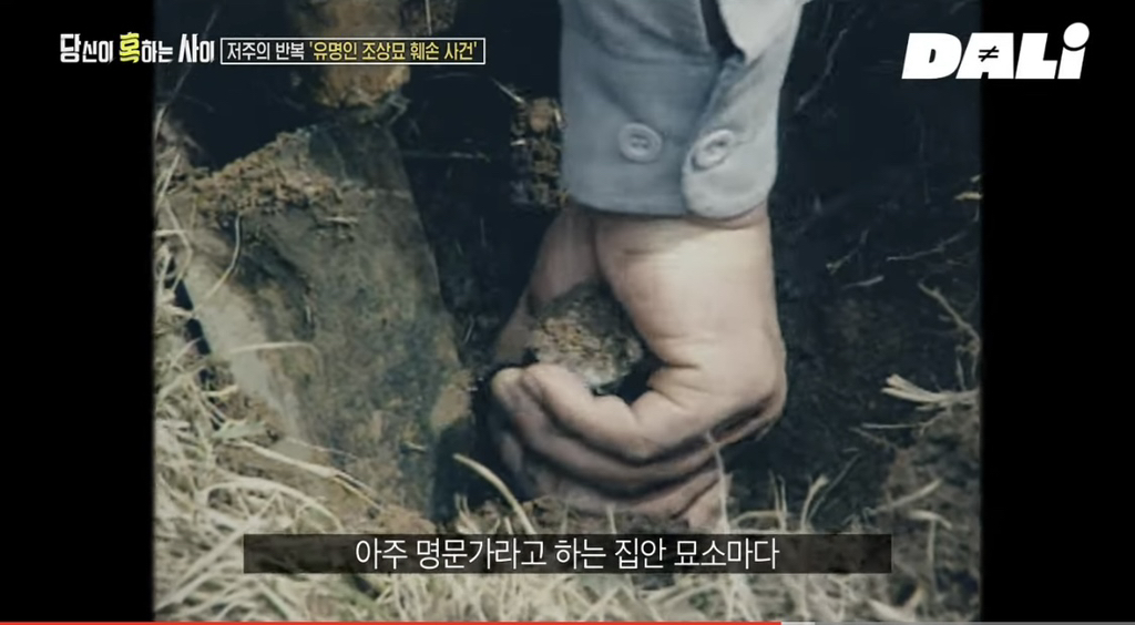 율곡이이, 이순신, 세종대왕 집안 묘소에 130kg 넘는 쇠말뚝과 식칼이 박혀 충격 | 인스티즈