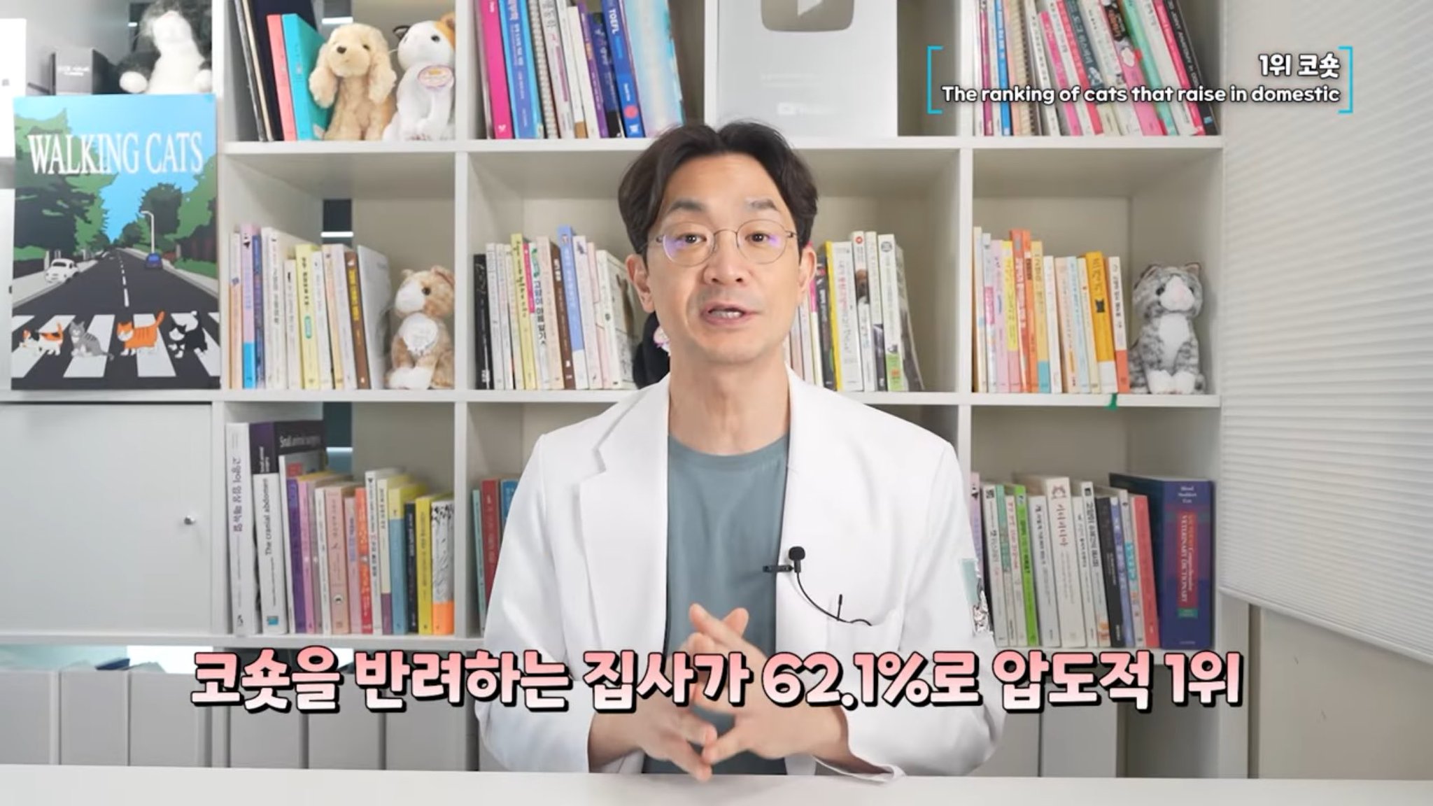 국내에서 많이 키우는 반려묘 순위.jpg | 인스티즈