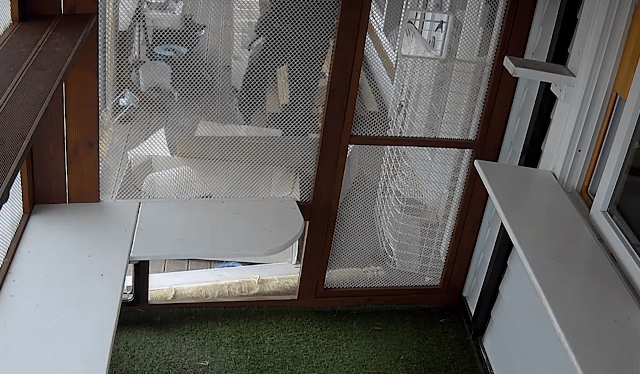 매맞는 삶을 살고있는 매탈남 근황 | 인스티즈