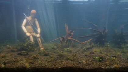 한국수경예술학회 이미지