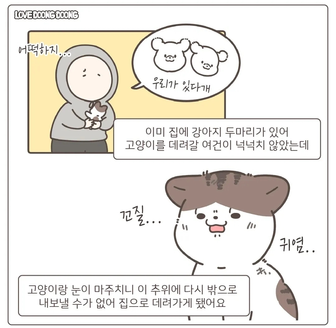 주방 싱크대 뒷편 호스에 매달려있다가 구조된 아기 고양이.jpg | 인스티즈