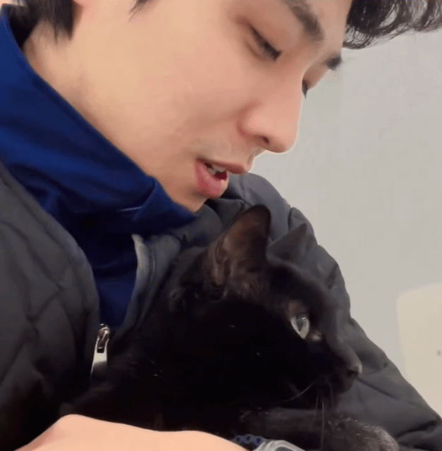 어느 배우 소속사에서 키우는 스트릿 출신 검은 고양이 네로 | 인스티즈