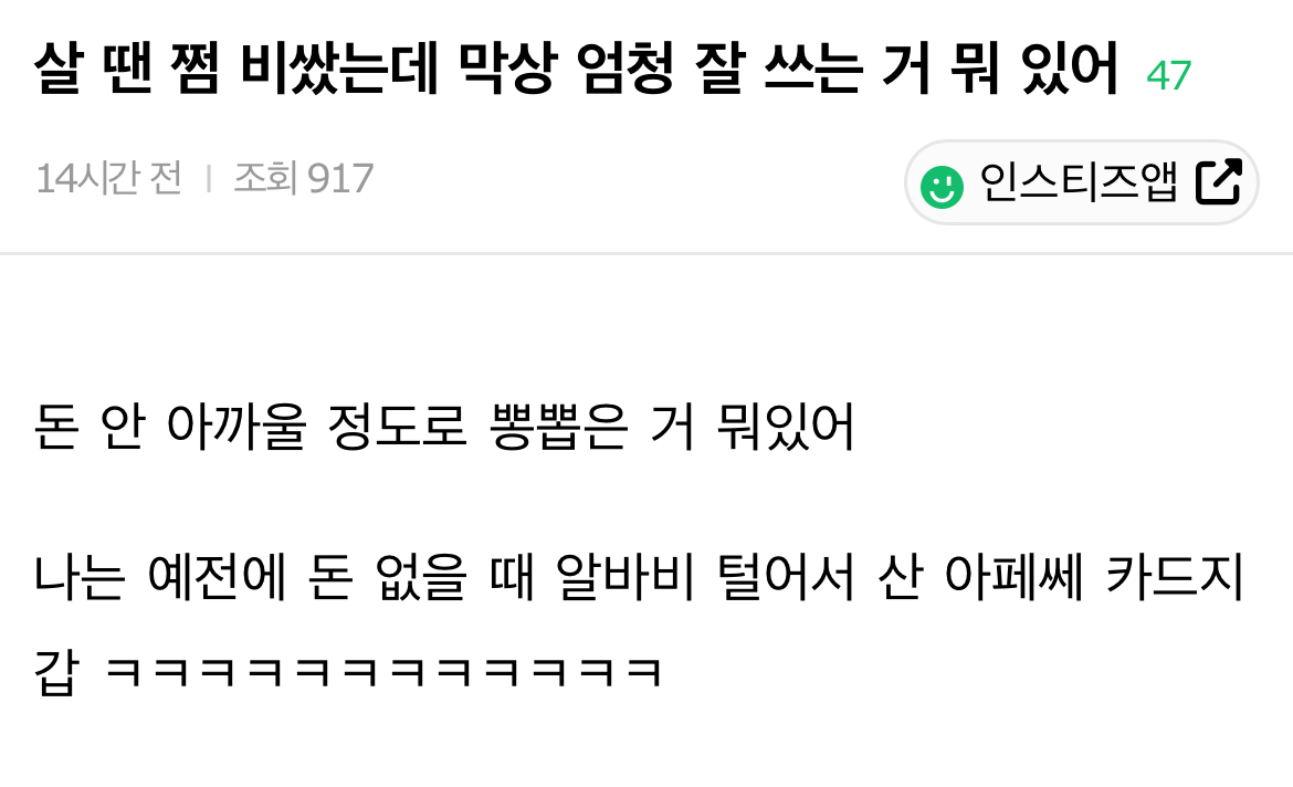 살 땐 쩜 비쌌는데 막상 엄청 잘 쓰는 거 뭐 있어 | 인스티즈