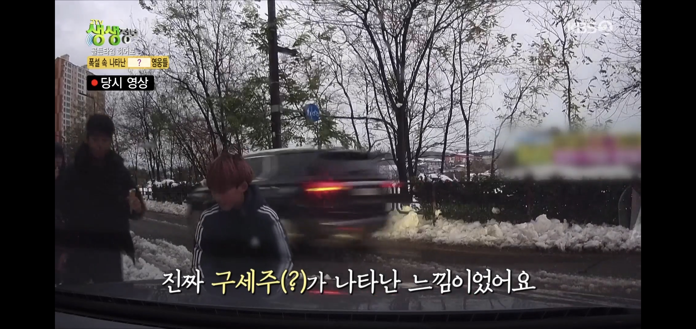 방금 생생정보통에 저번 폭설에 이슈였던 여시 나옴.jpg | 인스티즈