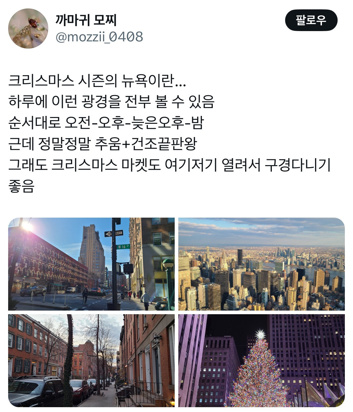 지구 최강의 크리스마스 호들갑을 느끼고싶다 - 12월의 뉴욕..twt | 인스티즈
