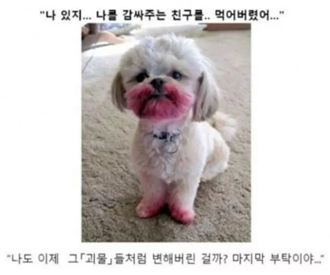 타라 이미지