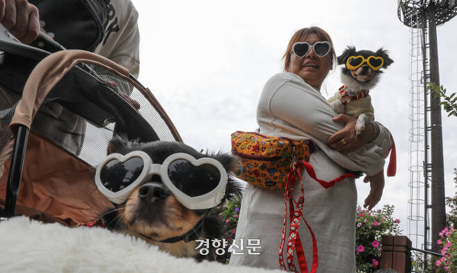 2023 서울 반려동물 한마당 축제 "댕댕이 패션런" | 인스티즈