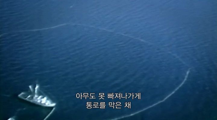 어느날 소방서에 고래가 조련사를 잡아 먹었다는 신고가 들어왔다 .jpg (스압주의) | 인스티즈