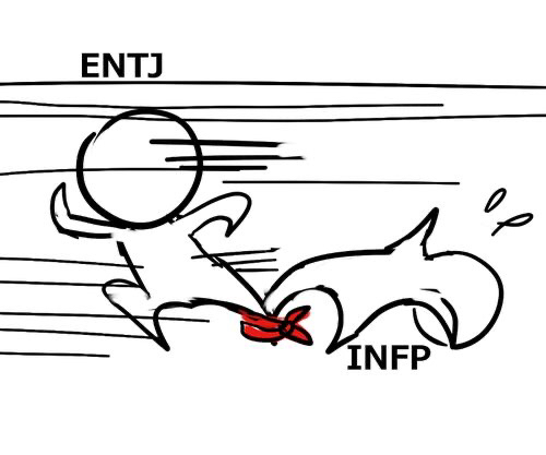 Infp와 Entj의 관계 갤러리 미주한인닷컴 미주한인업소록