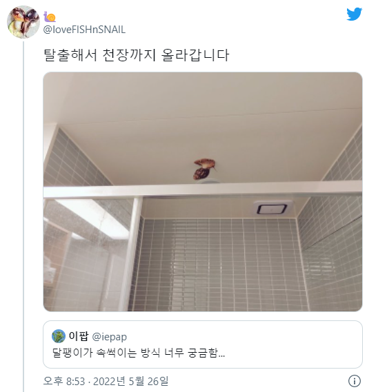 달팽이도 주인 속을 썩이고 사고를 친다는 사실을 아십니까.twt | 인스티즈