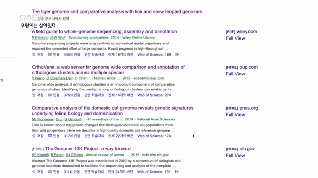 '절멸'의 '한국 호랑이'. 🐅 그 100년간의 이야기. -마지막- | 인스티즈