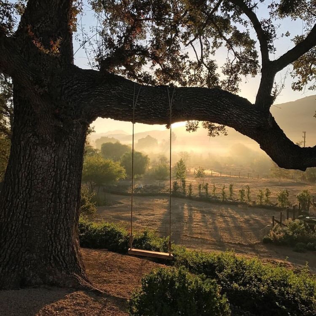 요정 : 여기서 혼자 한달간 숙박하면 5억 지급 | 인스티즈