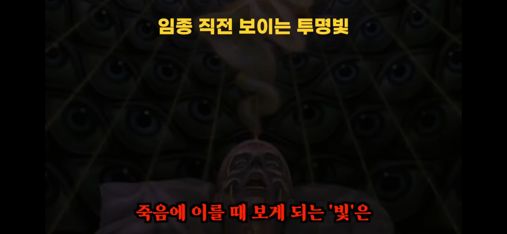 죽고나서 지구로 환생안하는 방법 4탄 | 인스티즈