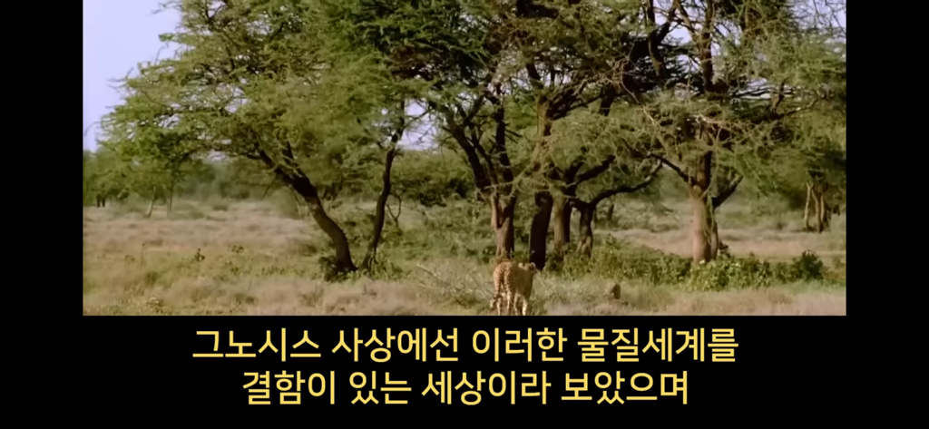 지구에서 환생 안하는방법🌏 | 인스티즈