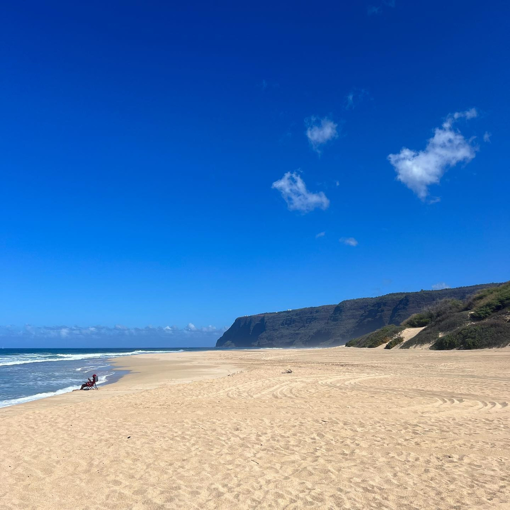 하와이에 사는 사람들이 올린 사진들 | 인스티즈