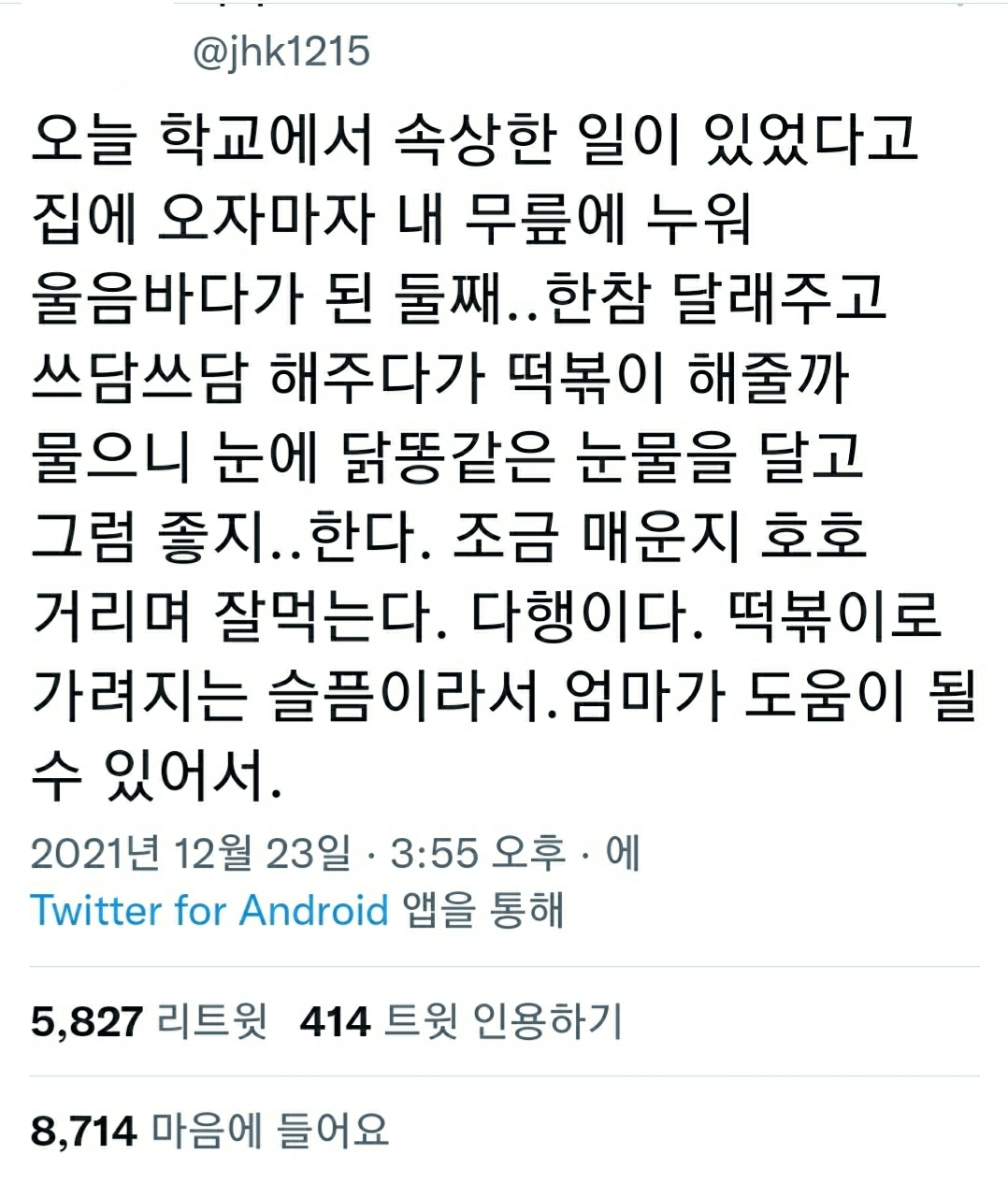 다행이다. 떡볶이로 가려지는 슬픔이라서 | 인스티즈