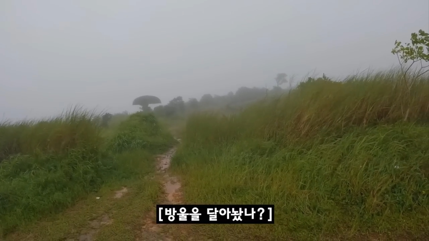 아직 퇴마가 덜 된 것 같은 알포인트 촬영지(세미공포주의) | 인스티즈