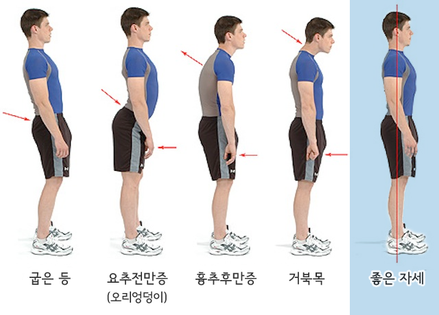 올바른 자세로 걷는/서있는 방법.jpg | 인스티즈