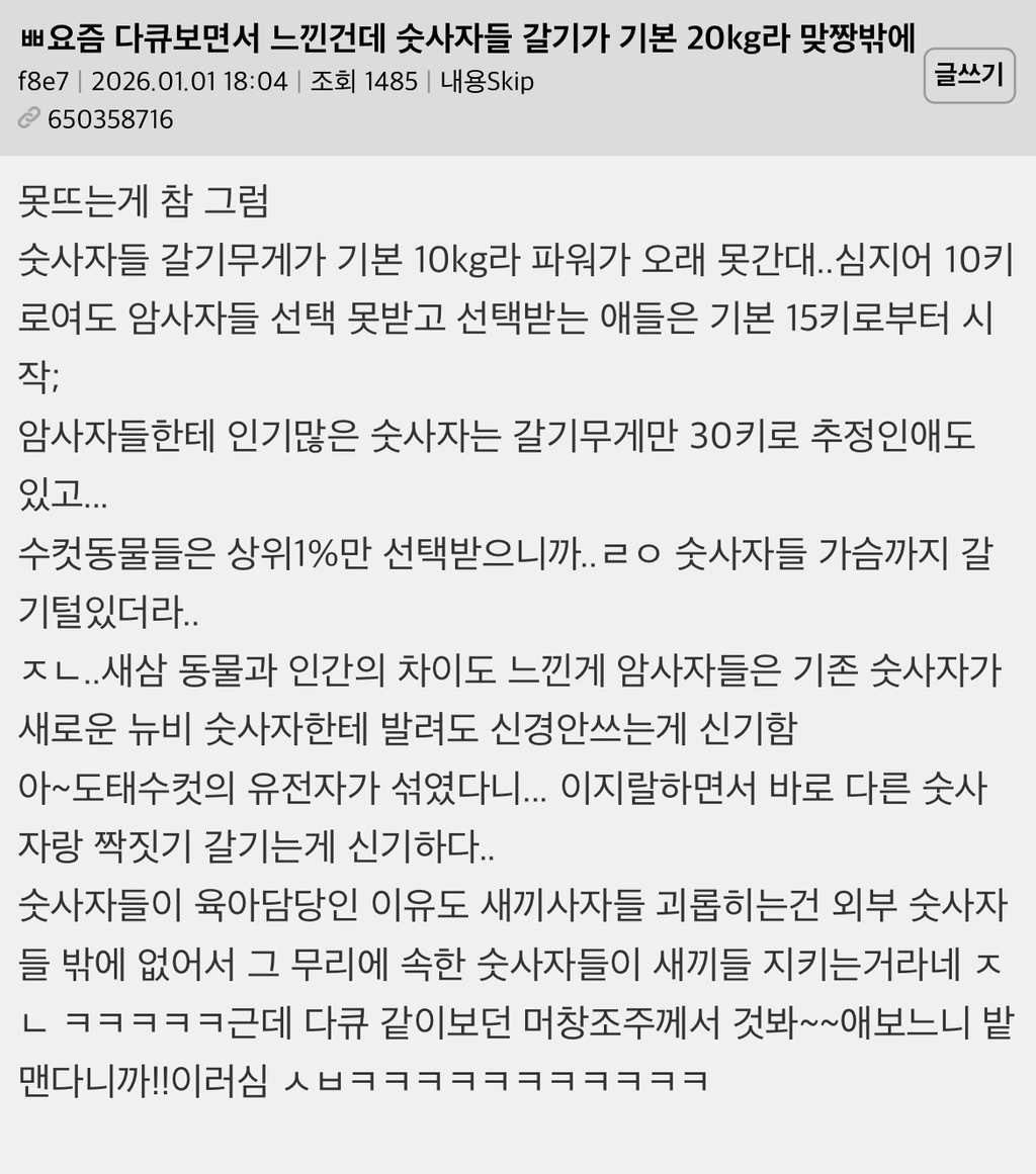 요즘 다큐보면서 느낀건데 숫사자들 갈기가 기본 20kg라 맞짱밖에 | 인스티즈