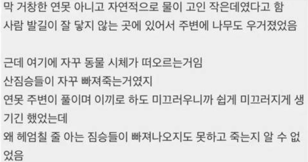 짐승들이 자꾸만 빠져죽는 이상한 연못 | 인스티즈