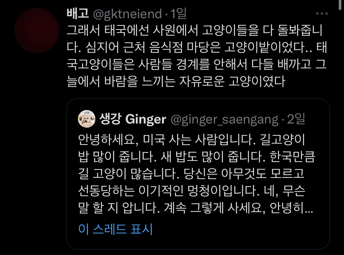 트위터에서 외국 사는데 길고양이 밥 준다는 인용이 쏟아진 이유 | 인스티즈